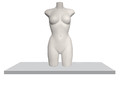 ТОРС ЖЕНСКИЙ БЕЛЫЙ FEMALE TORSO-3MATT 9010RAL